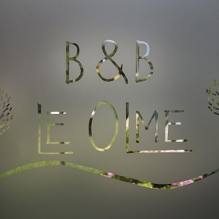B&B Le Olme โมลยาโน เวเนโต ภายนอก รูปภาพ